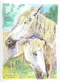 Chevaux_tendresse_aquarelle_HD