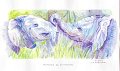 Couple_elephantaux_moments_de_tendresse_aquarelle