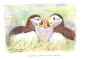 Macareux_moines_tendresse_aquarelle