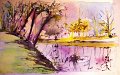 Bras_de-Seine_Maisons_Laffitte_2014