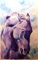Cheval_Chaconne_aquarelle_2012