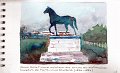 Cheval_Dollar_de_Pierre_Louis_Rouillard