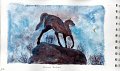 Cheval_Dollar_la_nuit