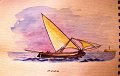 24_Moleta_voile_latine
